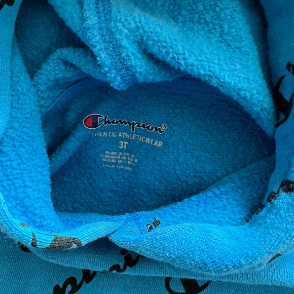 Champion hoodie. 3t - Picture 2 of 2